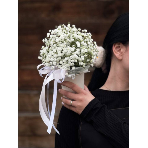 Воздушная гипсофила белая в стаканчике